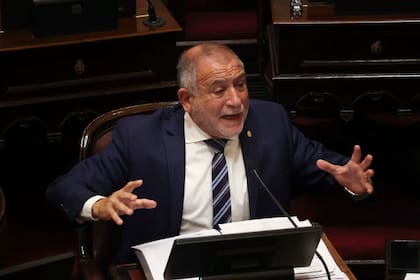 El senador cordobés Luis Juez