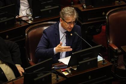 El senador correntino Eduardo Vischi