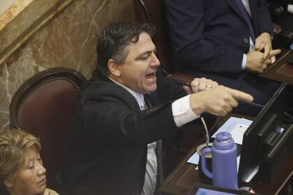 El senador Francisco Paoltroni en el recinto