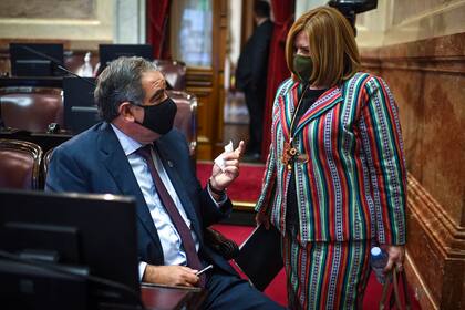 El Senador Julio Martínez con la Senadora Clara Vega en la Sesión Especial remota del Honorable Senado de la Nación, el 8 de octubre