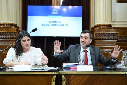 El senador libertario Agustín Coto y la asesora electoral del Ministerio del Interior, María Luz Landívar, durante el último debate de la reforma política en el senado
