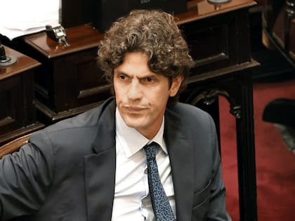 El senador Martín Lousteau