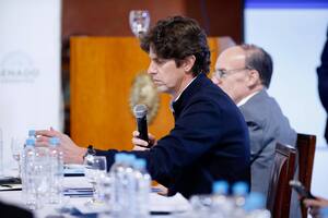 El senador Martín Lousteau.