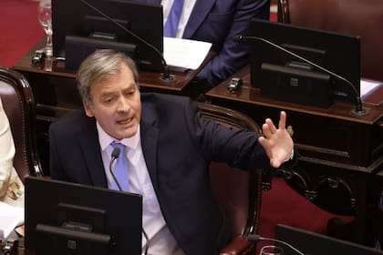 El senador Martín Soria durante el debate en el Senado por la baja de edad de imputabilidad
