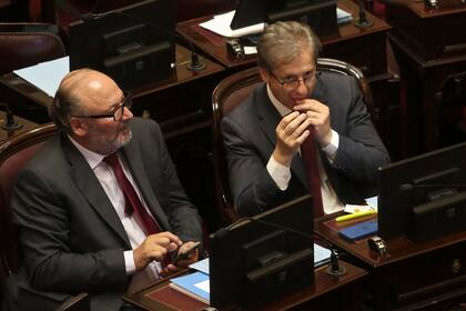 El senador Vischi se come las uñas tras la votación