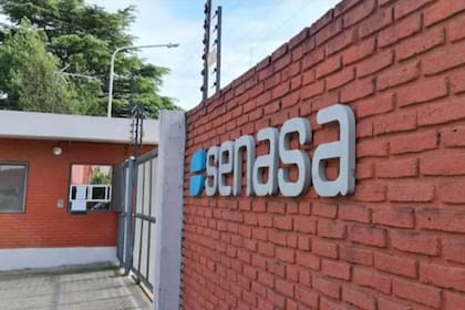 El Senasa busca delimitar con mayor claridad sus competencias, centradas en el control sanitario, y evitar superposiciones con los poderes de policía que corresponden a provincias y municipios