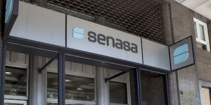 "El Senasa es un organismo técnico y debe consolidarse como un verdadero organismo de Estado no de gobierno, con todo lo que ello significa"