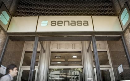 El Senasa registra productos, entre otras funciones