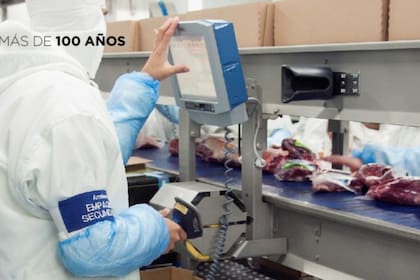 El Senasa solicitó mayores precisiones sobre el contenedor y las muestras analizadas