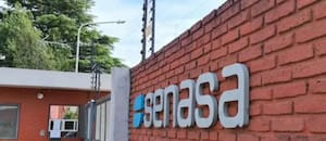 Temen que se cierren mercados en ovinos y subproductos cárnicos por una enfermedad que investiga el Senasa