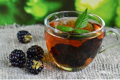 El sencillo método para preparar la infusión de moras
