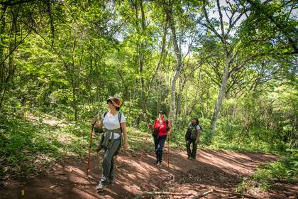 El sendero de ida y de vuelta, sobre todo, tiene ascensos pronunciados.