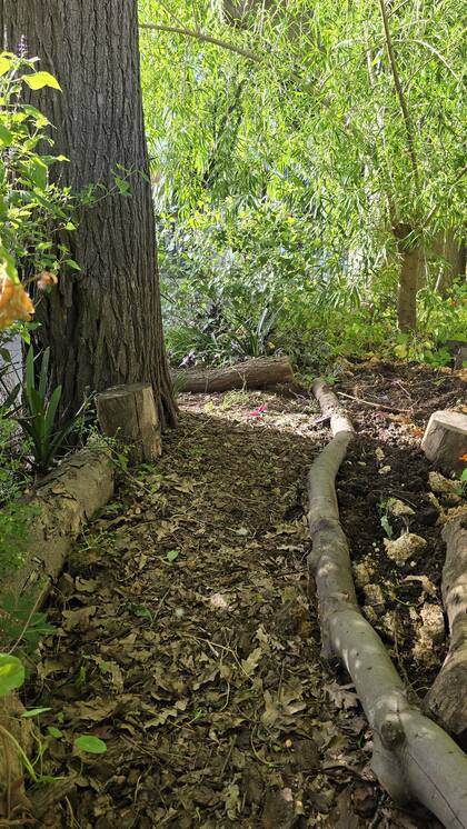 El sendero de Jardines de Pisarro, un recorrido verde creado por vecinos con dedicación y esfuerzo comunitario