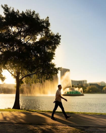 El sendero que rodea al parque Lake Eola permite apreciar la arquitectura, flora y fauna del barrio (Facebook/Lake Eola Park)