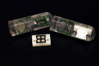 El sensor y el chip con los cuatro recipientes para las bacterias modificadas