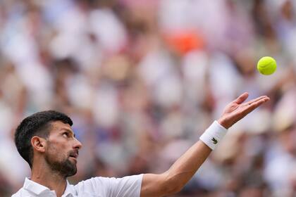 El serbio Novak Djokovic buscará ganar su octavo Grand Slam para alcanzar en el palmarés a Roger Federer