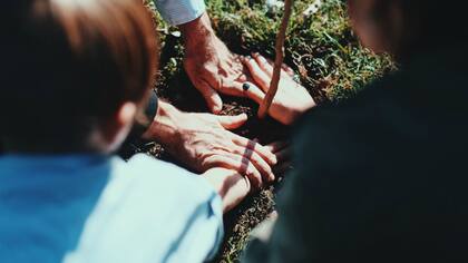 El servicio fúnebre quiere convertir los cementerios en bosques