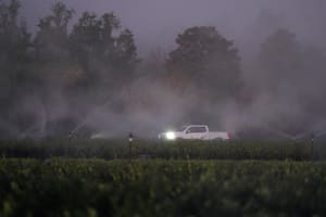 Noticias del sur de Florida y Miami hoy: frente frío y últimas actualizaciones del martes 20 de enero