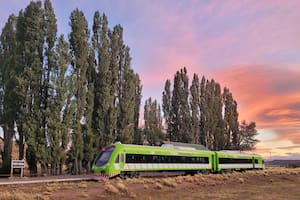 El servicio turístico del Tren Patagónico recorre unos 60 kilómetros desde Bariloche hasta la estación Perito Moreno