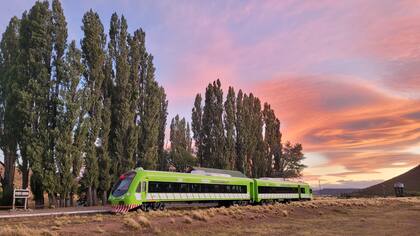 El servicio turístico del Tren Patagónico recorre unos 60 kilómetros desde Bariloche hasta la estación Perito Moreno