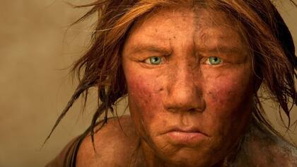 El sexo entre los humanos modernos primitivos y los neandertales no era un evento raro (Foto: Archivo)