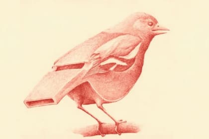 El siguiente test visual muestra la alegría de las personas (imagen ilustrativa)