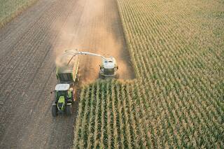 Cinco pasos esenciales para un silo de calidad