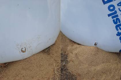 El silobolsa fue roto días antes y la cebada pudo haberse mojado