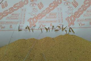 Le rompieron un silobolsa y alguien le dejó escrito: La Cámpora