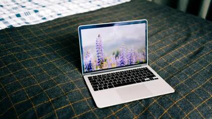 El simple hecho de tener un protector de pantallas que muestre imágenes de la naturaleza en tu computadora puede ayudarte a relajarte