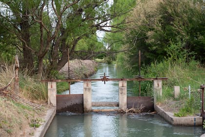 El sistema de acequias y tomas es fundamental para el funcionamiento de las chacras en Gaiman
