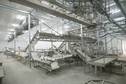 El sistema de faena es automatizado e incorpora estaciones diferenciadas de prelavado, lavado, oreo y enfriado rápido