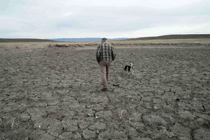 El sistema del Río Colorado, con una extensión de 2334 kilómetros, se enfrenta a un año crucial para mantener el suministro de más de 40 millones de personas