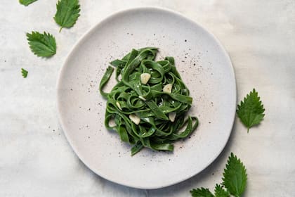 El sistema digestivo mejora mediante la estimulación del páncreas y la vesícula biliar