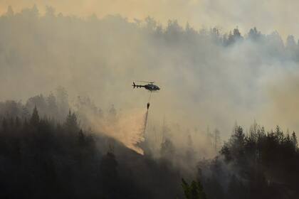 El Sistema Nacional de Manejo del Fuego, fundamental para combatir los incendios forestales