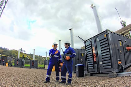 El sistema utiliza la materia orgánica producida por la planta avícola para generar biogás que alimenta los generadores.