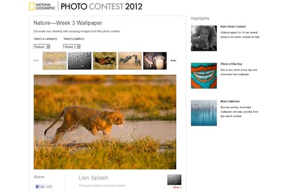 El sitio del National Geographic recopila imágenes para todos los amantes de los fondos de pantalla relacionados con la naturaleza y los paisajes