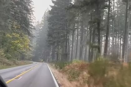 El sitio donde encontraron a la mujer (Foto:DailyMail)