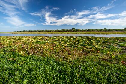 El sitio Ramsar Delta del Paraná está localizado en las provincias de Santa Fe y Entre Ríos, comprende humedales continentales de origen fluvial asociados a la llanura de inundación del río Paraná, en sus tramos medio e inferior, e incluye los territorios de dos Parques Nacionales: Predelta e Islas de Santa Fe.
