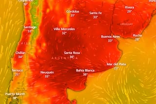 Ola de calor: hasta cuándo seguirá y cuál será el pico de temperatura en Buenos Aires