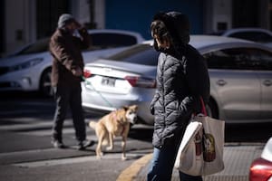 Alerta amarilla por frío extremo en Buenos Aires y otras dos provincias