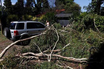 El SMN sugiere preparar una mochila de emergencias con linterna, radio y documentos