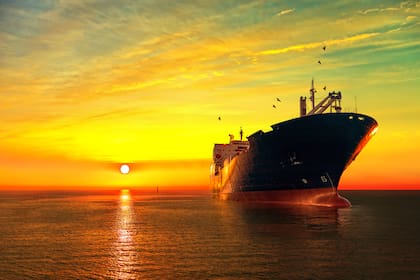 "El sol brilla más fuerte después de las tormentas" dice Quimey