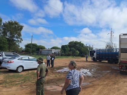El STJ intervino y habilitó medidas excepcionales, incluida la venta de hacienda