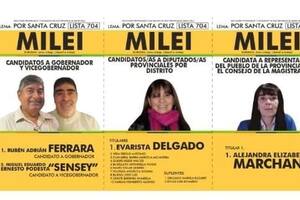 El sublema MILEI en Santa Cruz