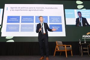 El Gobierno apura una estrategia tras el rechazo a un cargamento con girasol en Bulgaria