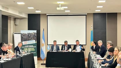 El Subsecretario de Mercados Agroalimentarios e Inserción Internacional del Ministerio de Agricultura, Ganadería y Pesca, Agustín Tejeda Rodríguez; Cónsul Honorario y Presidente de la Cámara Kazaja Argentina, Santiago Deluca, y el viceministro de Agricultura de Kazajistán, Amangaliy Berdalin