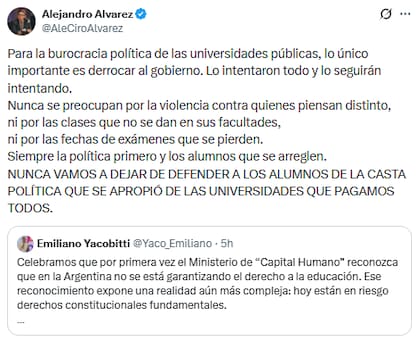 El subsecretario de Políticas Universitarias, Alejandro Álvarez, señaló que "la burocracia política" de las universidades públicas solo está interesada en "derrocar el gobierno"
