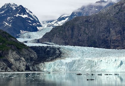 El suceso ocurrió en un río de Alaska, donde la mujer intentó salvar a su perro Groot