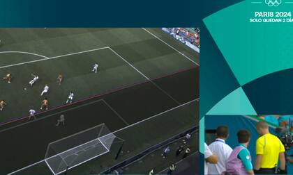 El sueco Glenn Nyberg observa la acción que motivó la anulación del gol del empate argentino